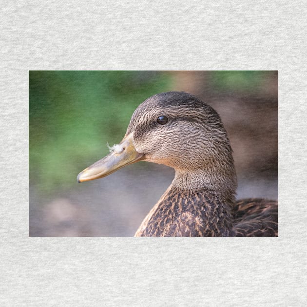 Mallard Profile by Eunice1